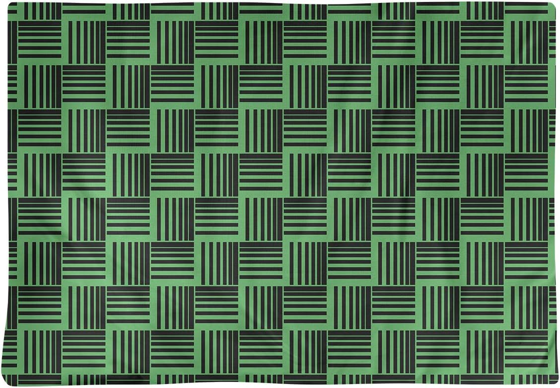 Dana Strider Black & Color Basketweave Stripes Table Placemat, 18 x 14, Green