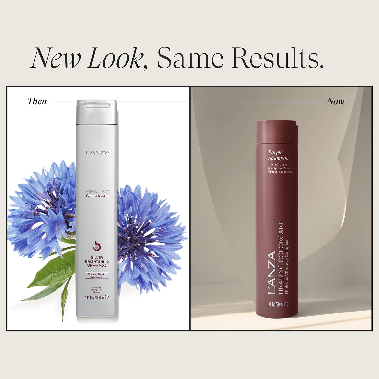 L'ANZA Healing Colorcare Purple Shampoo For Blondes & Highlights Purple Toning Shampoo, Neutralizes Brass, Brightens Blonde, Adds Shine, Repairs, Moisturizing, Color Safe, Sulfate Free
