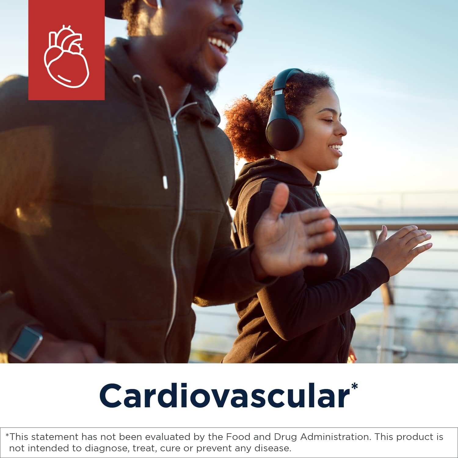 Designs for Health Niacin 500mg - Niacin CRT Vitamin B3 (Nicotinic Acid), Controlled Slow Release Tablets to Help Minimize Flush - Non-GMO
