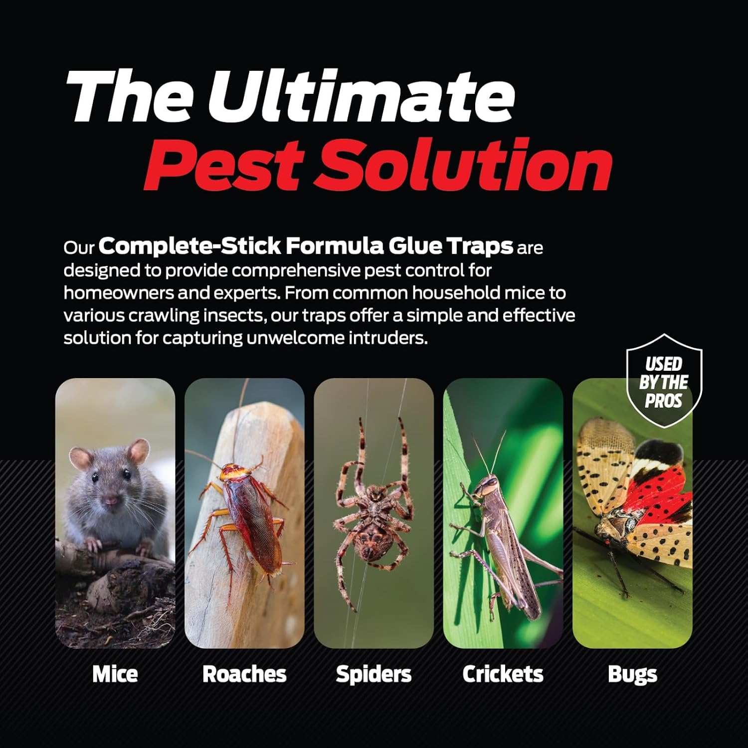 Glue Traps for Mice & Bugs – Safe Around Children & Pets – Strong Adhesive Glue for Bugs, Insects & Cockroaches – Easy to Use & Clean – Sticky Glue Traps for Indoor Use (12 Pack)