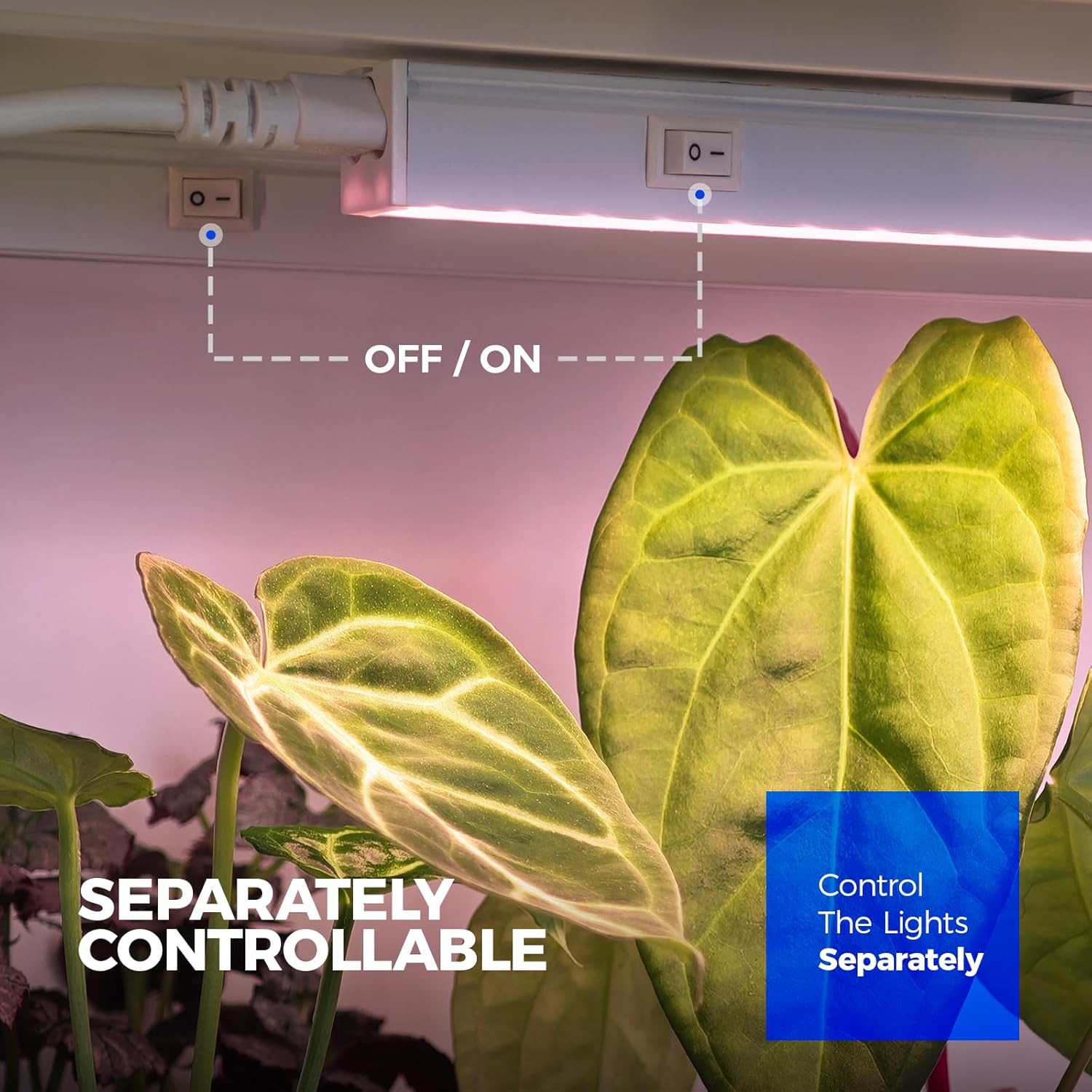 Barrina T5 Grow Lights for Indoor Plants, Full Spectrum, 2FT, 8 Packs