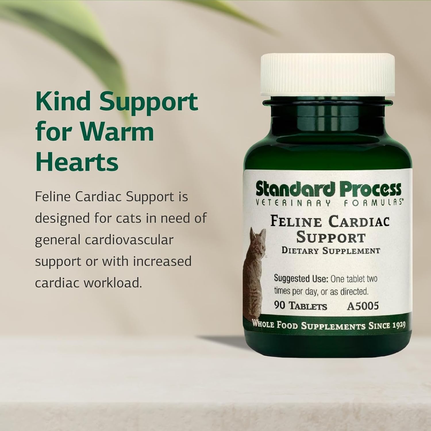 Standard Process Inc. Feline Cardiac Support - Cardiovascular System Supplement for Felines - Dietary Cat Supplement to Support Heart Health &