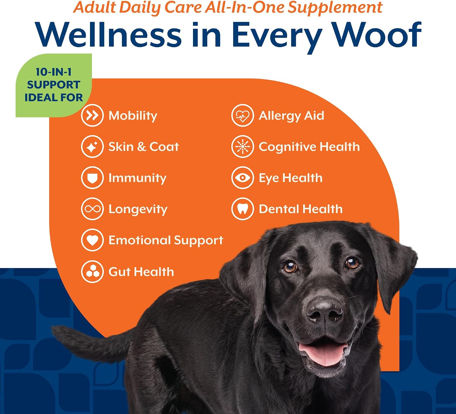 NaturVet All-in-One Cat & Dog Supplement Daily Multivitamin - 13 Oz Powder | Daily Multivitamin for Dogs & Cats - Supports Digestion, Skin & Coat with Omega-3, 6, 9 in a Wheat-Free Formula, 13 Oz Powder