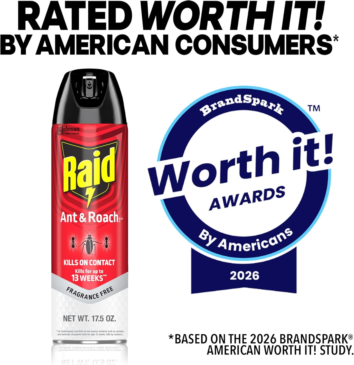Raid Ant & Roach Killer, Fragrance Free Bug Killer for Home Use, Kills Bugs on Contact, 17.5oz