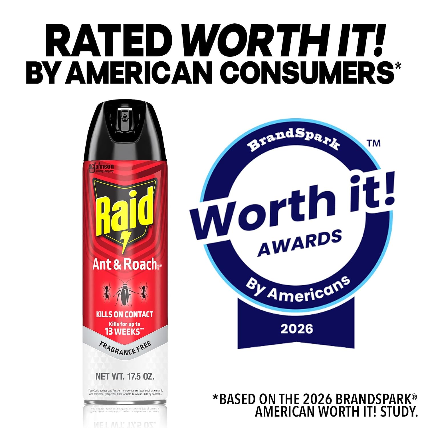 Raid Ant & Roach Killer 26, Fragrance Free Bug Killer for Home Use, Kills Bugs on Contact, 17.5 Oz, 2 Count