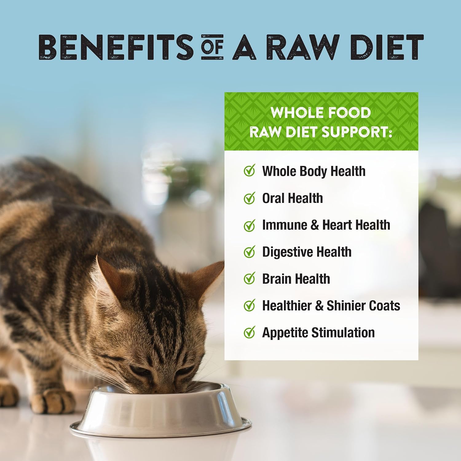 Northwest Naturals Freeze-Dried Turkey Cat & Kitten Food – Bite-Sized Nibbles – Healthy, Limited, Human-Grade Ingredients, All-Natural, High-Protein Raw Diet – Complete & Balanced, Made in USA, 11 oz