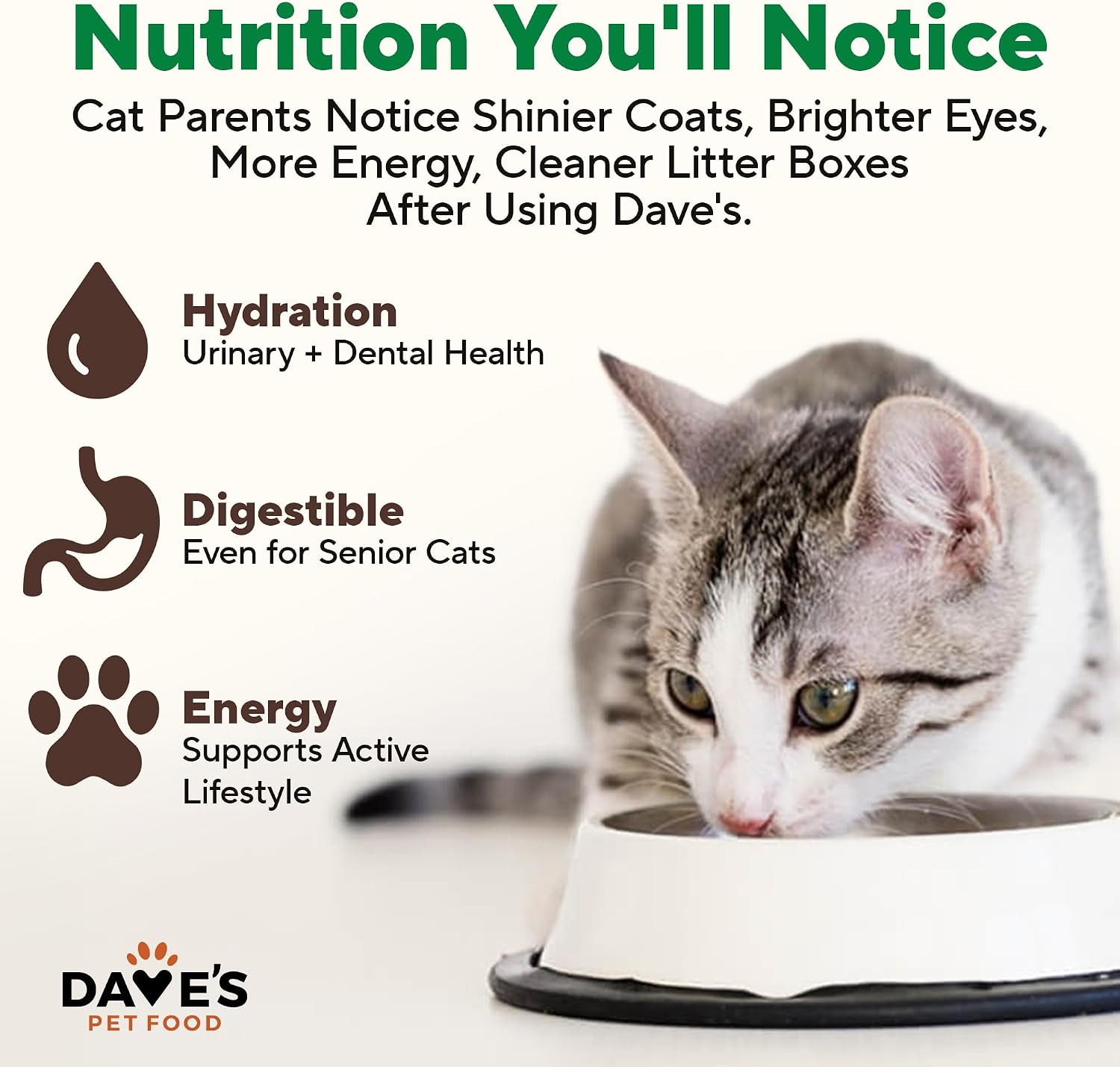 Dave's Pet Food Grain Free Wet Canned Cat Food Pate, Chicken, 12.5 oz, 12pk | Made in USA, Naturally Healthy, Easy to Digest Wheat & Gluten-Free, Use as Topper or Meal, Carrageenan-Free
