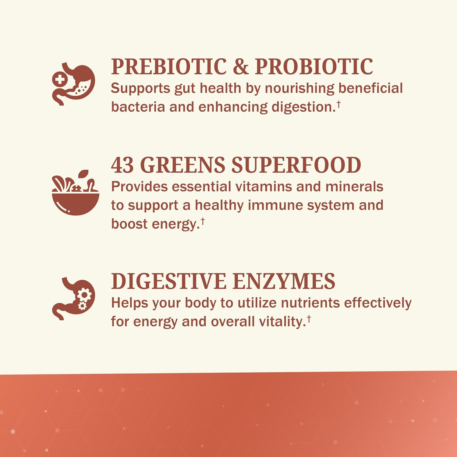 Super Greens Powder with Probiotics, Prebiotics, Digestive Enzymes