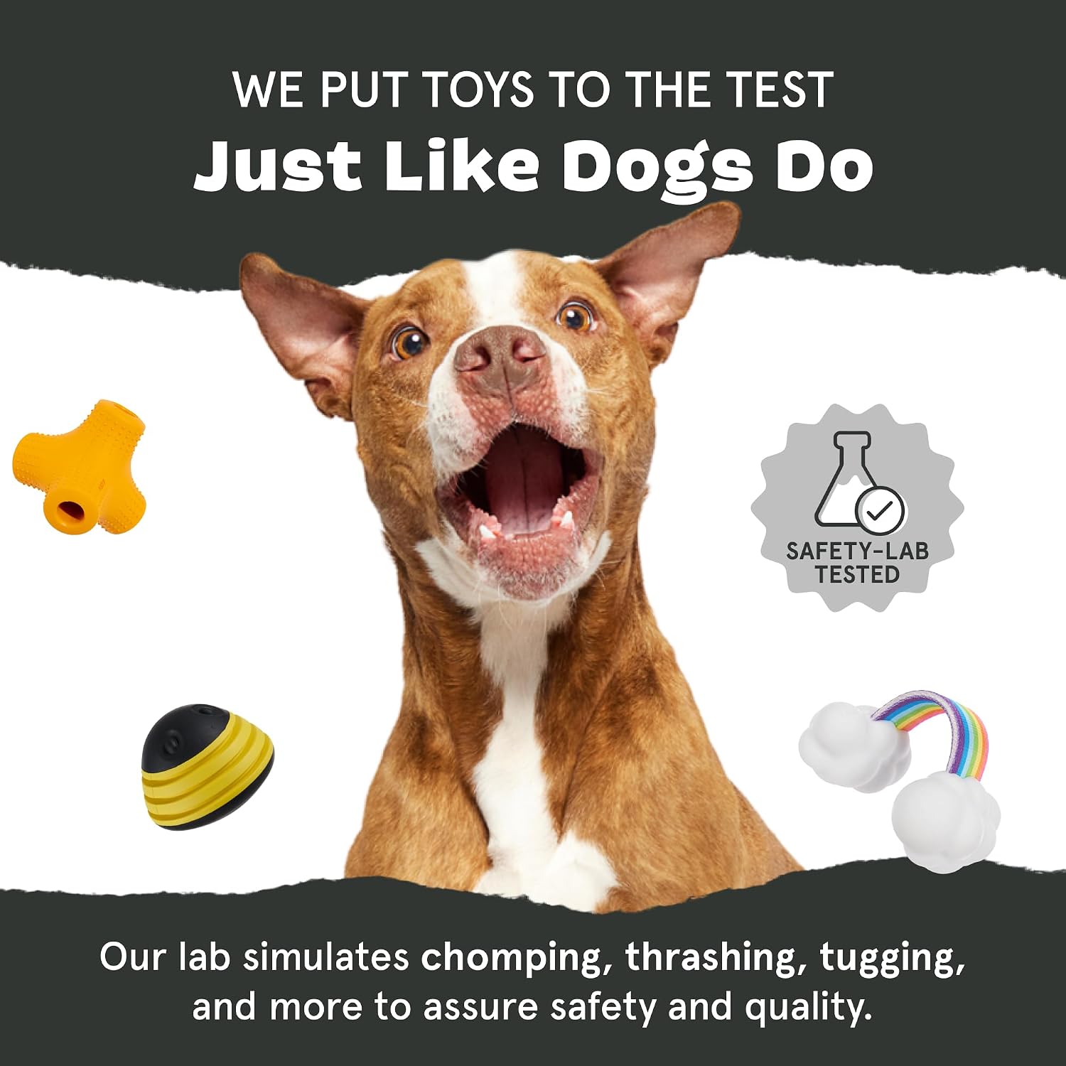 BarkBox Turkey Super Chewer - Toy for Large Dogs