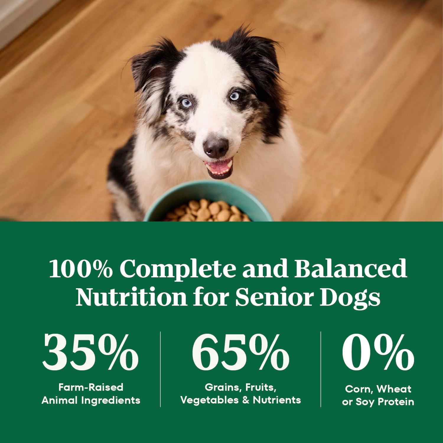 Nutro Natural Choice Senior Dry Dog Food, Chicken & Brown Rice, 30 lb | Non-GMO, Real chicken #1 ingredient, no corn, wheat, soy, supports bones, digestion & immunity, dental health & skin/coat