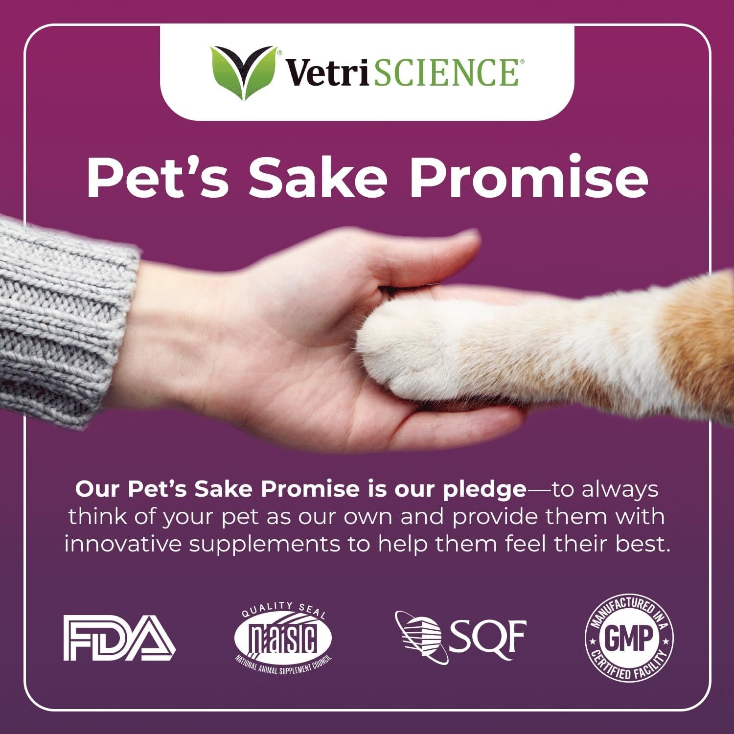 VetriScience Lysine Immunity Health Chews, 250 mg Lysine Plus Immune Supplement for Cats and Kittens with Allergies, Sneezing, Runny Nose and Watery Eyes, Chicken, 120 Count