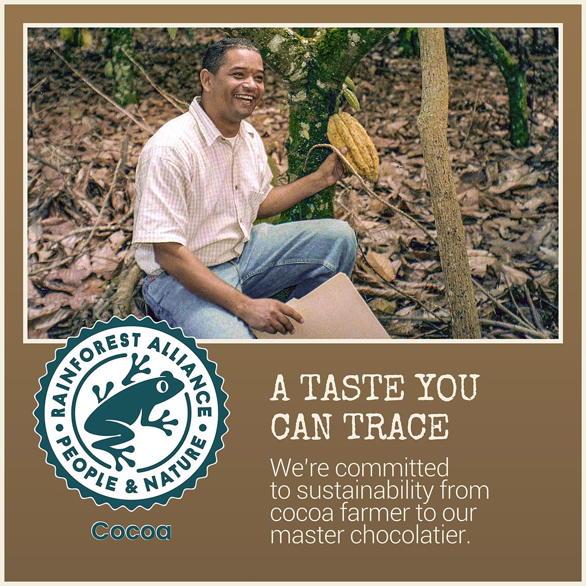Chocolove Extra Strong Dark Chocolate Bars | 77% Cocoa | Strong & Smooth Premium Dark Chocolate | Rainforest Alliance Certified, Non-GMO