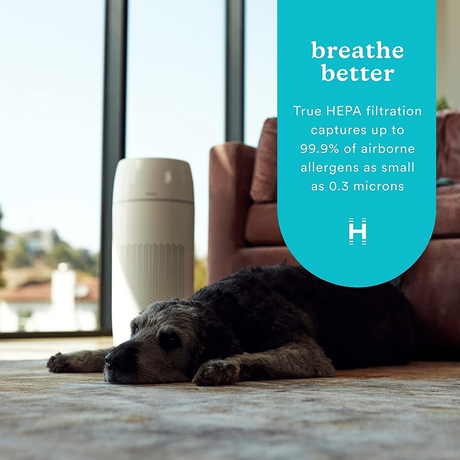 Homedics 5-in-1 PetPlus UV-C Air Purifier, HEPA Filter for 266 Sq Ft Room