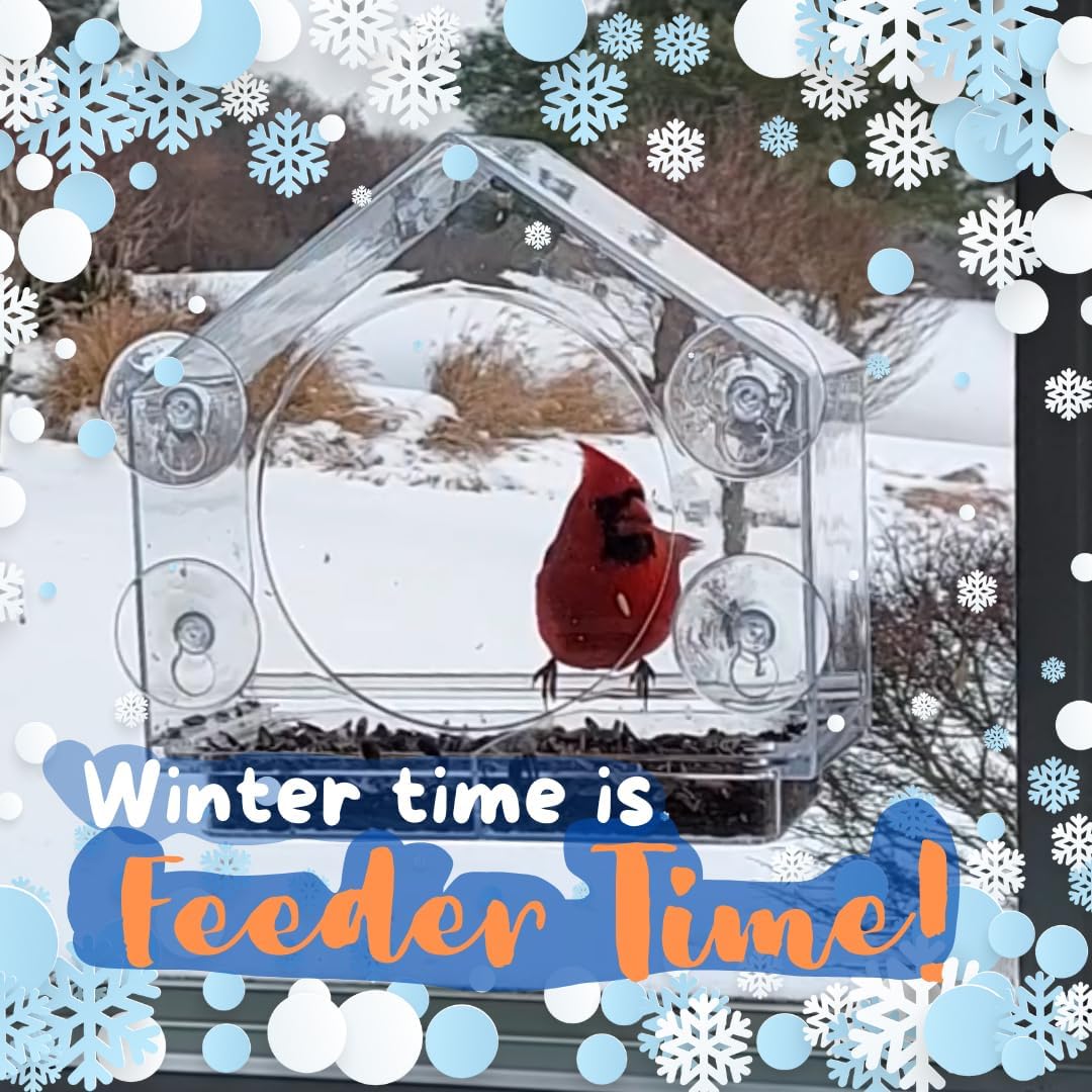 Window Hummingbird Feeder, Suction Cup, Hummingbird Feeders for Outdoors | leak proof with sealing gasket included, bee and wasp proof flowers