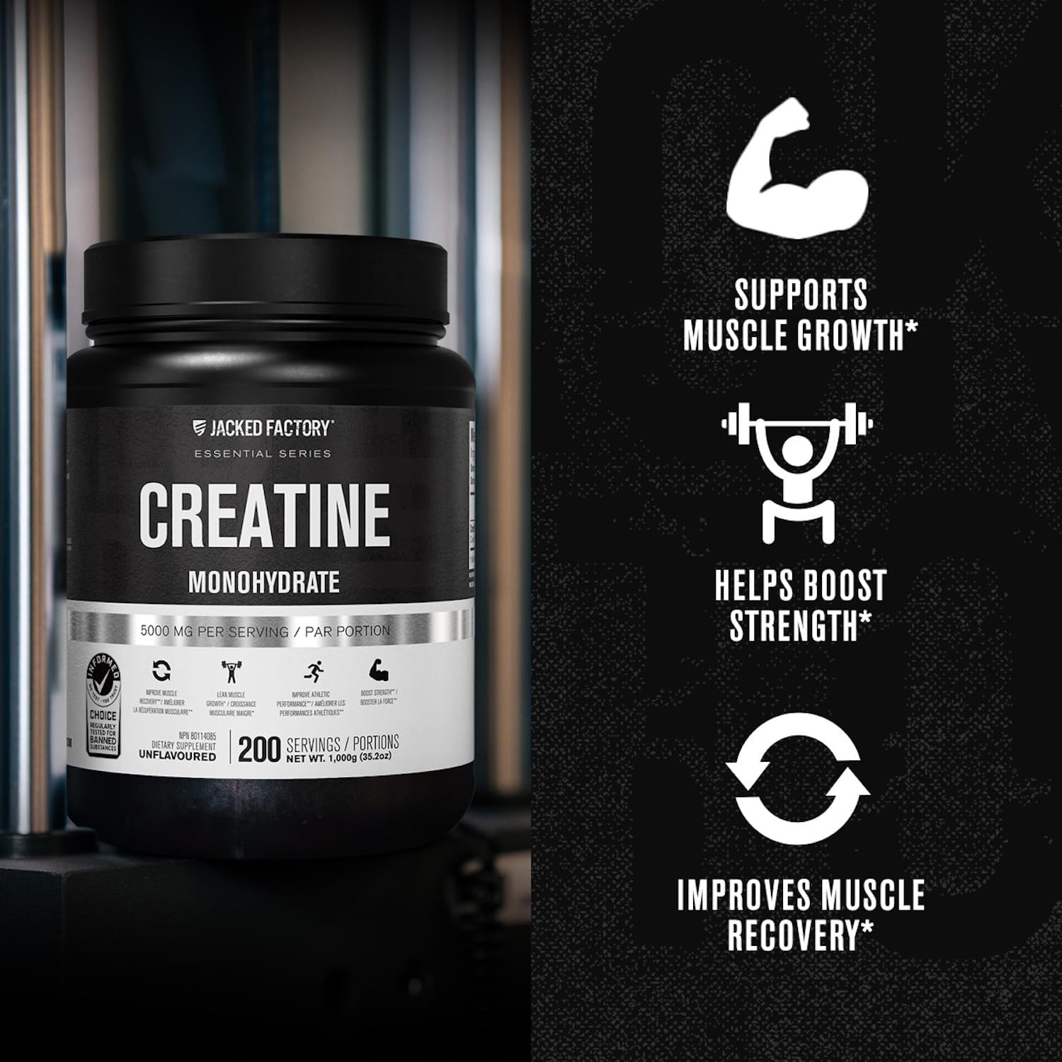 Jacked Factory Creatine Monohydrate Powder 425g - 5g Daily Micronized Creatine Monohydrate for Men and Women, Vegan-Friendly