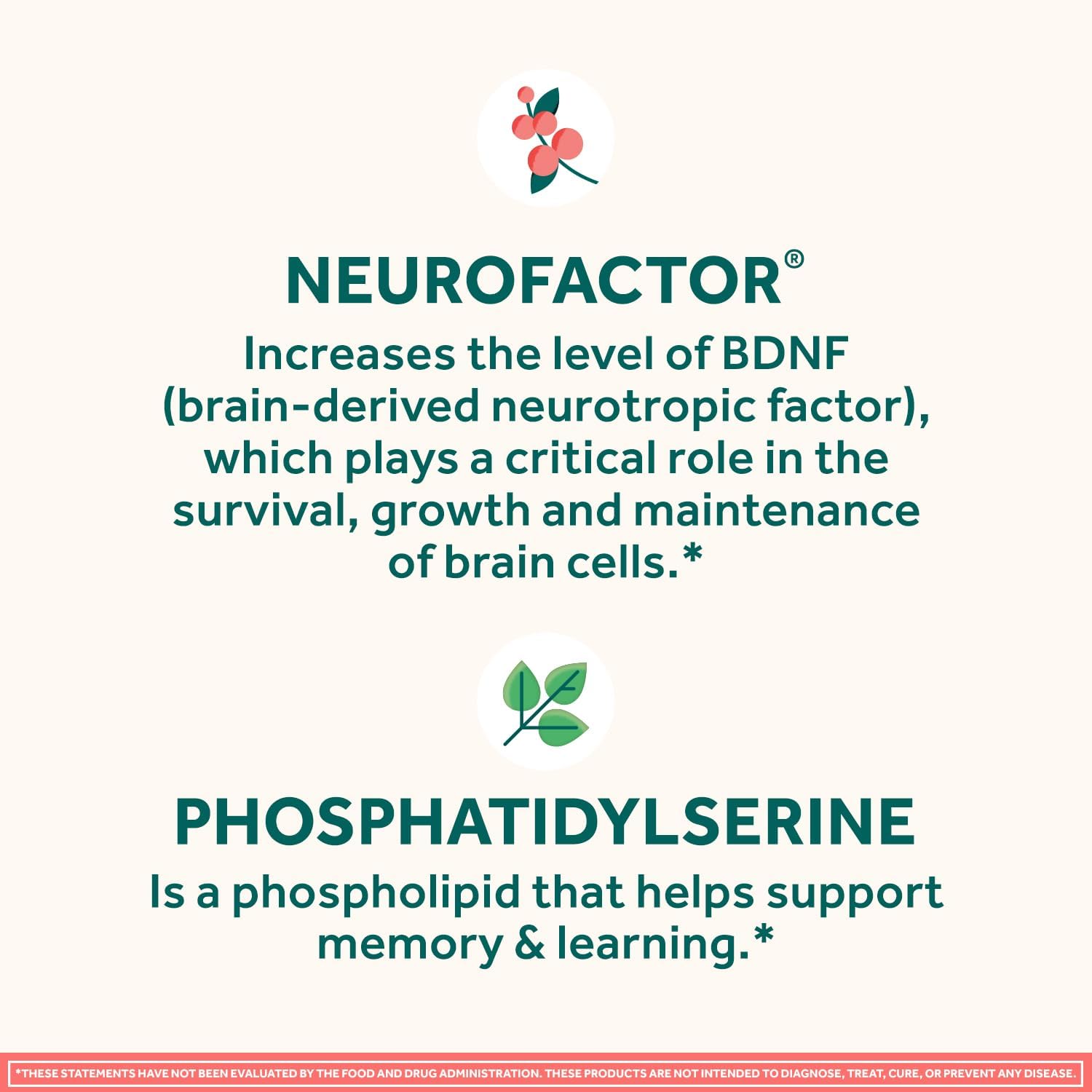 NEURIVA Original Brain Supplement for Memory, Focus & Concentration with Clinically Tested Nootropics Phosphatidylserine and Neurofactor