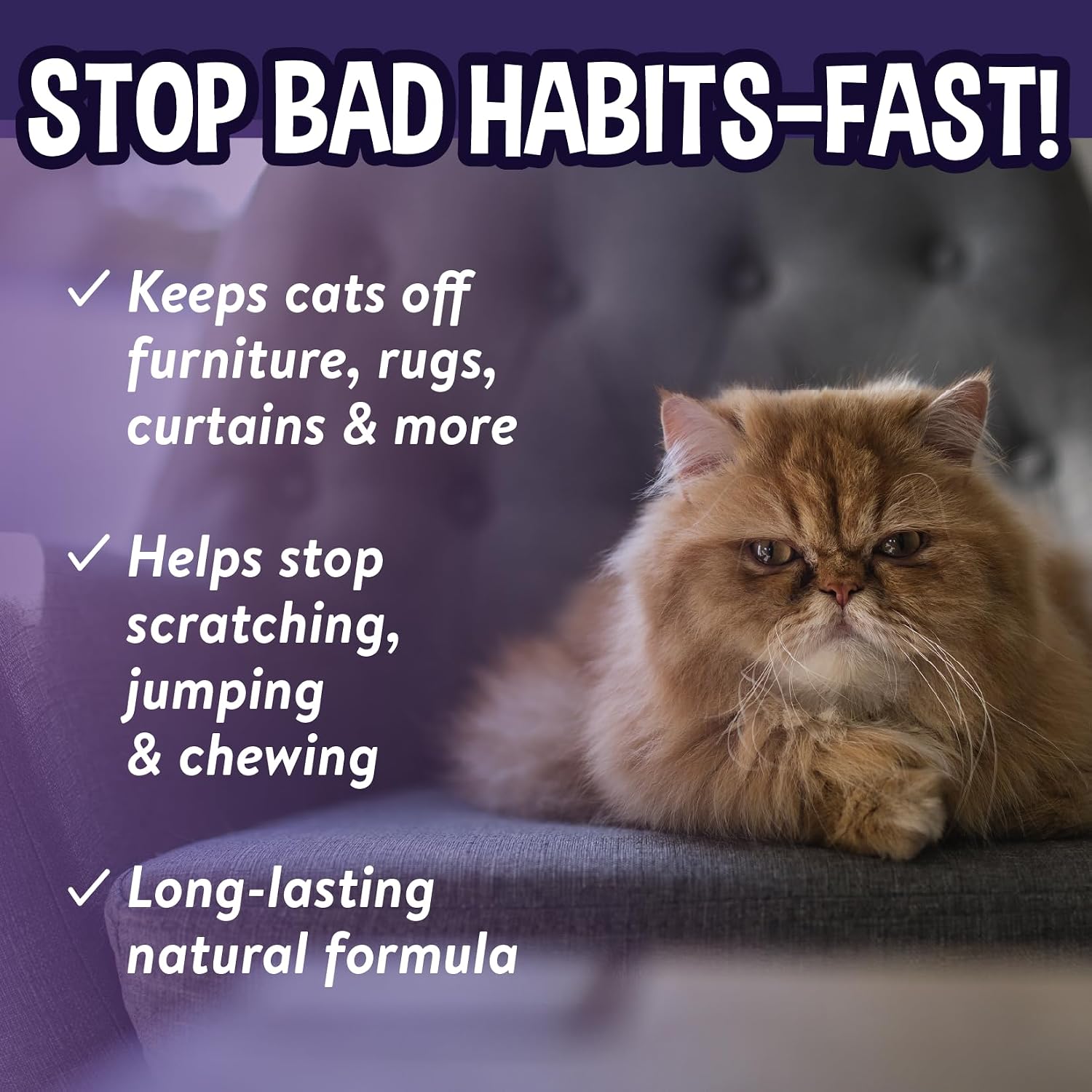 Bodhi 3-in-1 Cat & Kitten Training Aid - Cat Deterrent Spray for Indoor and Outdoor Use - Repellent to Establish Boundaries, Keep Cats Off Furniture