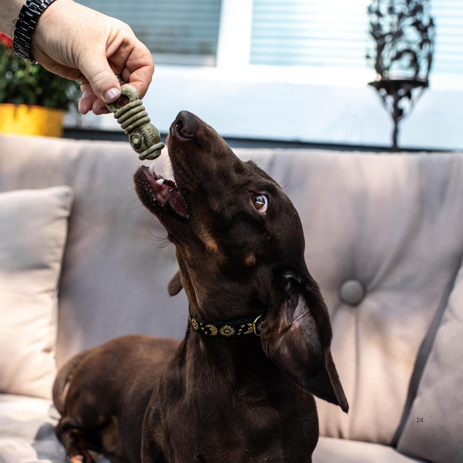 Loving Pets Ora-Bone™ Dental Chews for Dogs – USA Made Dog Dental Sticks with Parsley & Mint – Patented Shape to Reduce Plaque, Tartar, Massage Gums & Freshen Breath (Medium Dogs 14 oz.)
