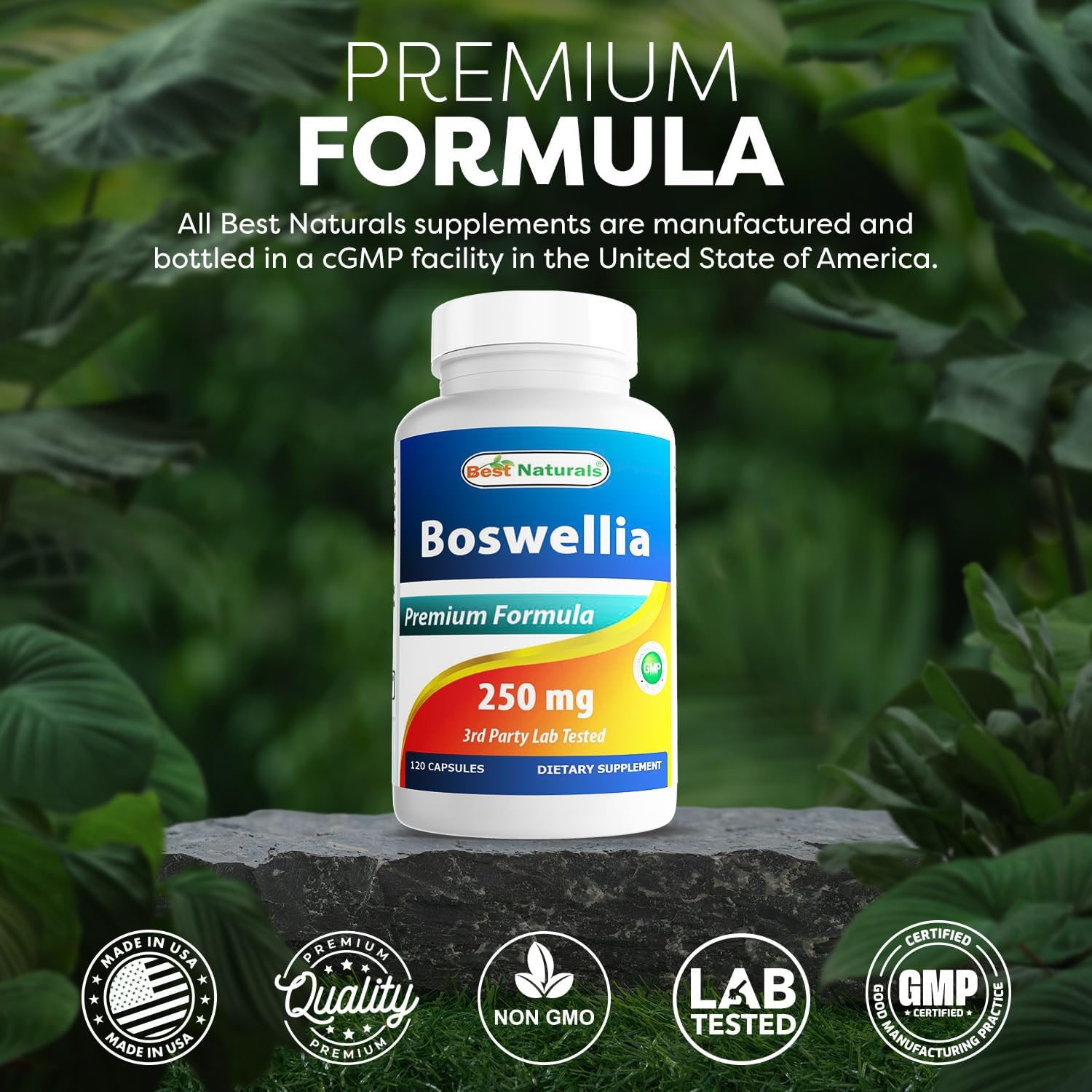 Best Naturals Boswellia Serrata Joint Health 250 mg 120 Capsules - Standardized to 65% Boswellic Acid (120 Count (Pack of 1))