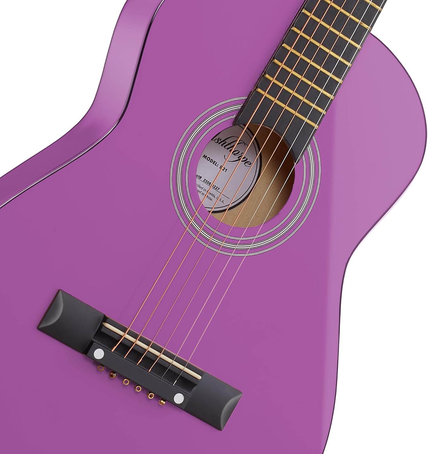 Ashthorpe 38-inch Beginner Acoustic Guitar (Red), Starter Kit with Gig Bag, Extra Strings, Strap, Picks, and Lessons