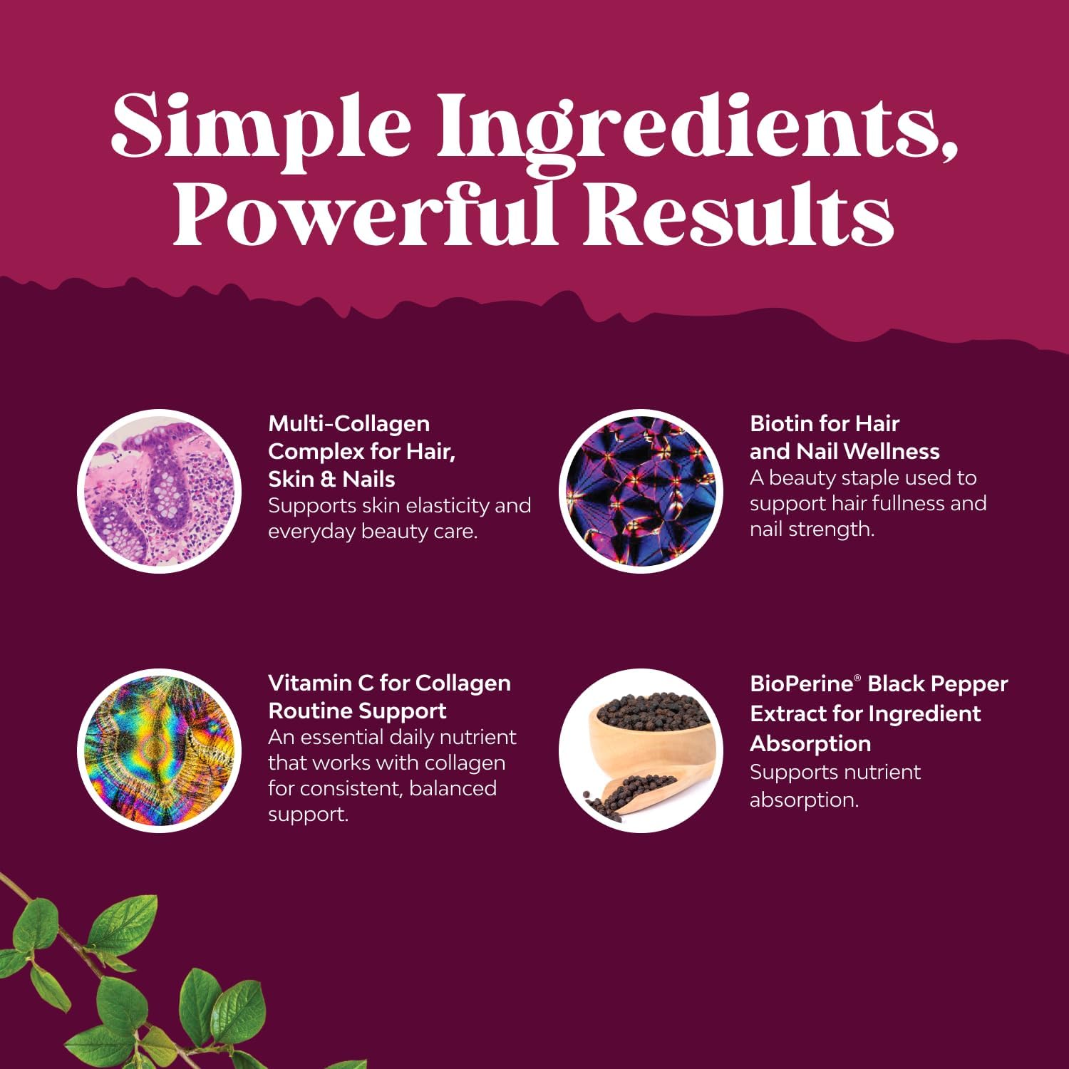Advanced Multi Collagen Complex - Ageless Multi Collagen Peptides Supplements with Type 1 2 3 5 & X & Biotin for Hair