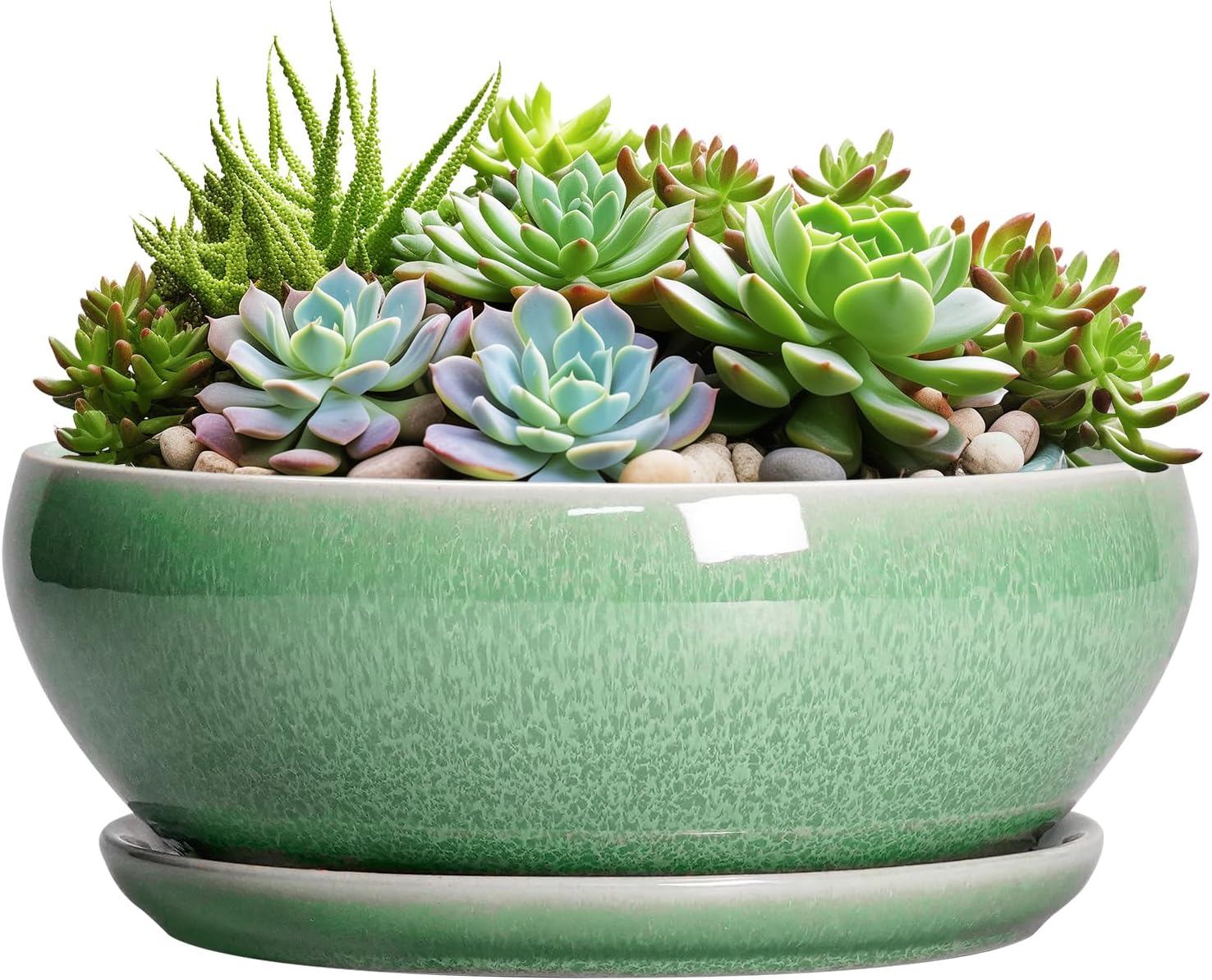 SQOWL 7 Inch Round Ceramic Succulent Planter Pot Drip Glazed Shallow Planter with Drainage Bamboo Tray for Indoor Plants