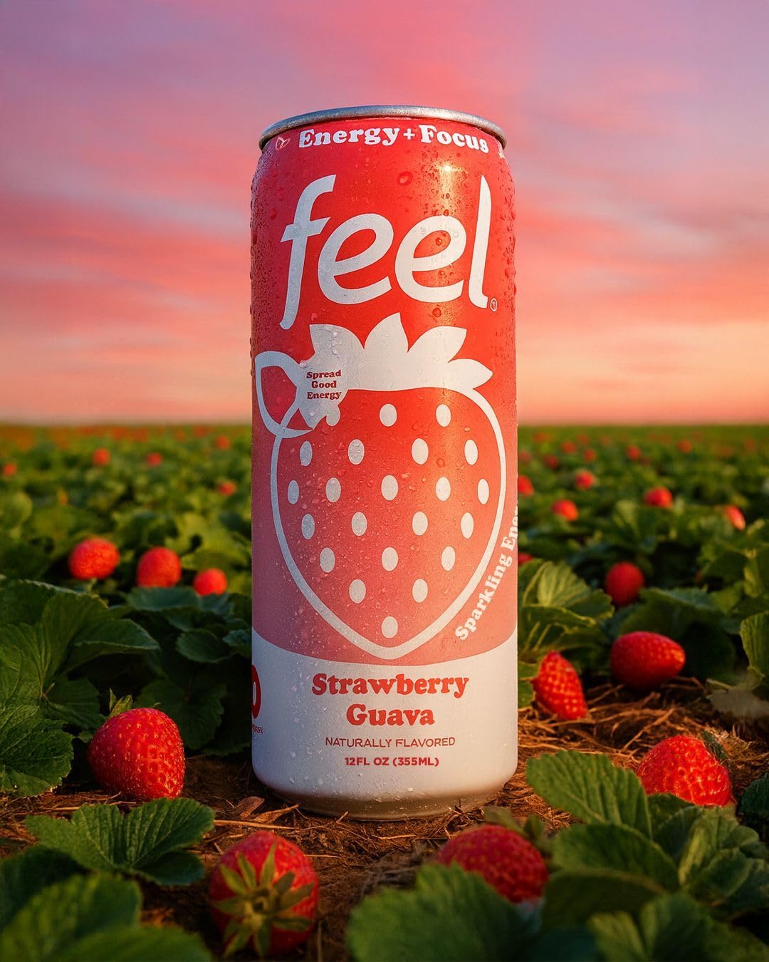 FEEL Variety Pack – Zero Sugar Sparkling Energy Drink – 3 Flavor Assortment, 140mg Plant-Based Caffeine from Green Coffee Beans + L-Theanine – Vitamin C, Vegan, Non-GMO – 12 Pack (12 Fl Oz Cans)