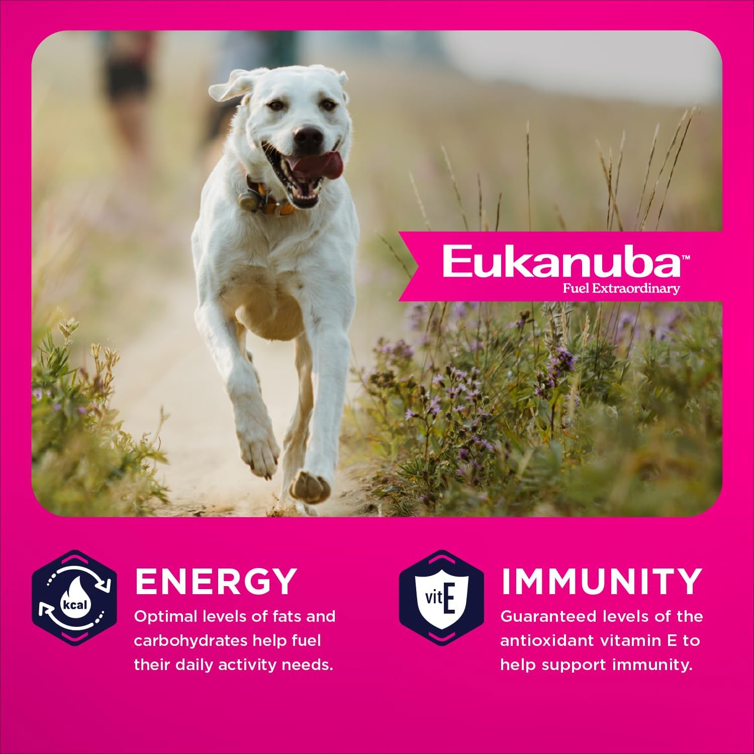 Eukanuba Adult Large Breed Dry Dog Food, 35 lb Bag