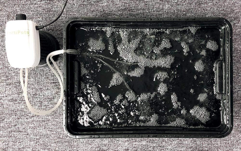 DWC Cloner Rooting Recirculating System 24 Site Cutting Clone and Seeding Root 2 in 1 Deep Water Cloner 24 Site with Clear Humidity Propagation Dome
