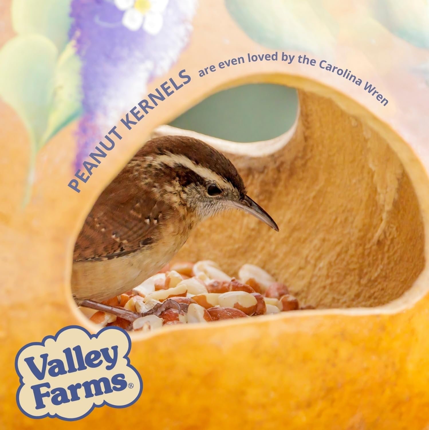 Valley Farms Whole Peanut Kernels (4 LB) Wild Bird Food for Outside Feeders, Peanuts for Birds, Chickadee Bird Seed for Outside Feeders