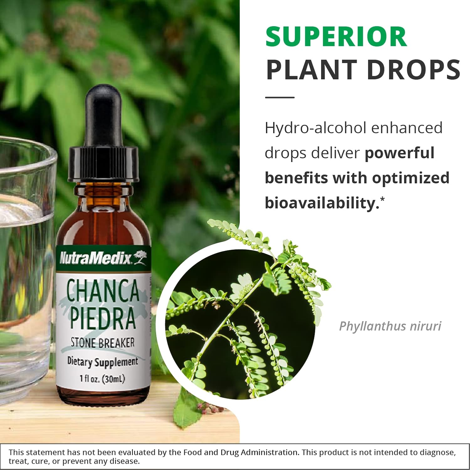 NutraMedix Chanca Piedra Stone Breaker Drops - Liquid Supplement for Kidney and Liver Health, Gallbladder Support & Urinary System Support (1oz / 30ml)