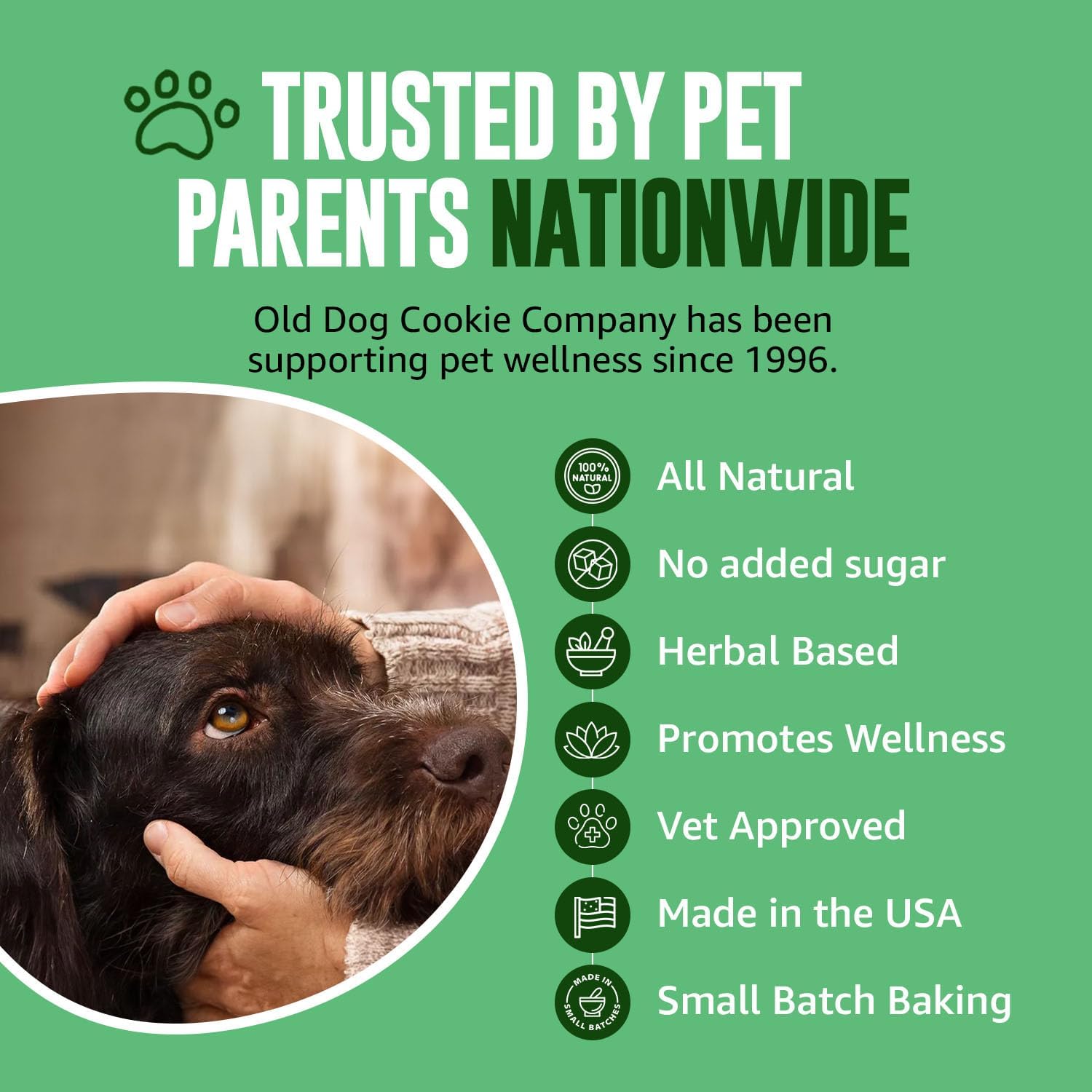 Old Dog Cookie Company Tiny Diabetic Dog Treats | All Natural, 2 Calorie, Vet Approved Pet Snacks | Top Treat for Dogs | Healthy Chews for Large