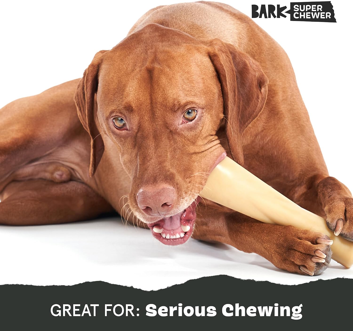 BarkBox Turkey Super Chewer - Toy for Large Dogs