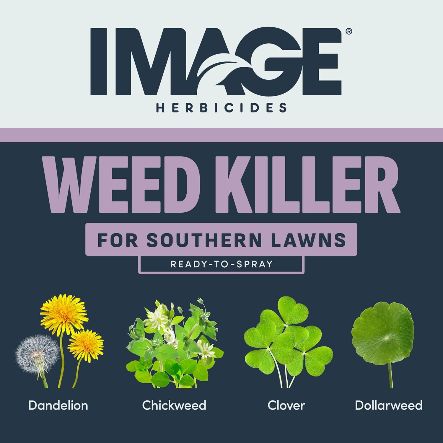 Image Herbicide Weed Killer for Southern Lawns RTS 32oz | Liquid weed killer, ready-to-spray, for St. Augustinegrass, Bermudagrass, Zoysiagrass