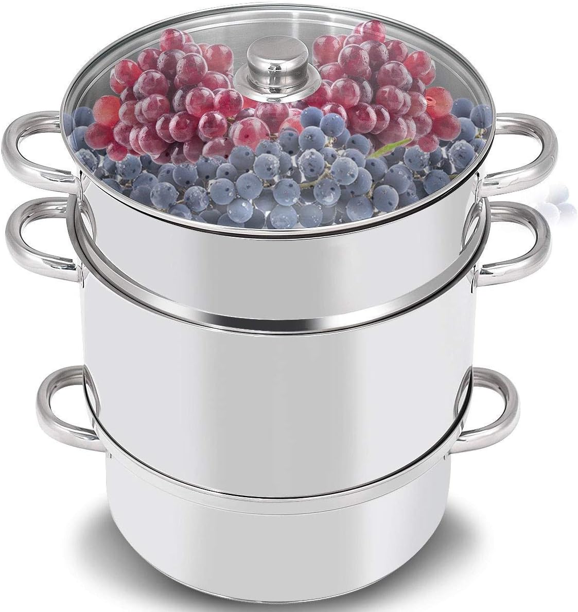 WATERJOY 11 Qt Steamer Jucicer, Stainless Steel canner cookware For Food Vegetables Fruit