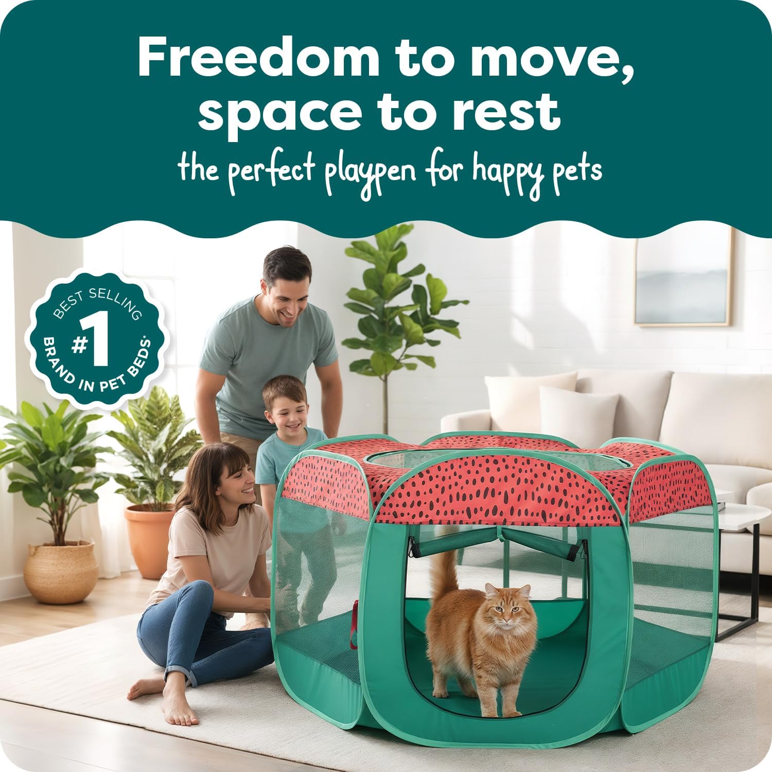 Furhaven Portable Dog Playpen Cat Tent, Pet playground,Kennel foldable indoor outdoor zippered puppy crate - Hunter Green, Medium