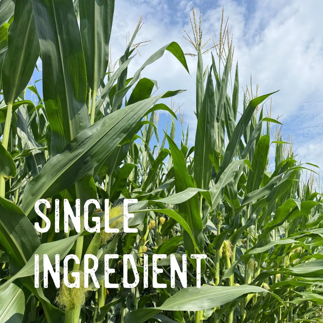 Ernst Grain & Livestock Whole Corn – Perfect Feed for Deer, Squirrels, Chickens, Ducks, Rabbits, Geese, and More! (46 Pound)