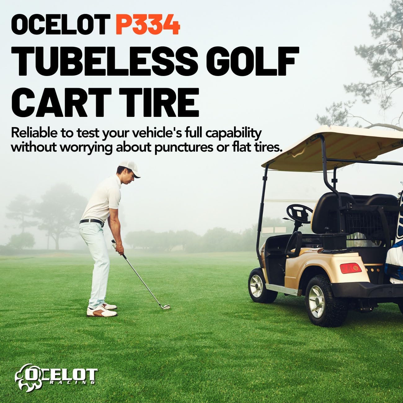 P334 22x11-10 Golf Cart Tires - All Terrain Golf Cart Tires, 4-Ply Rated Quad Tire