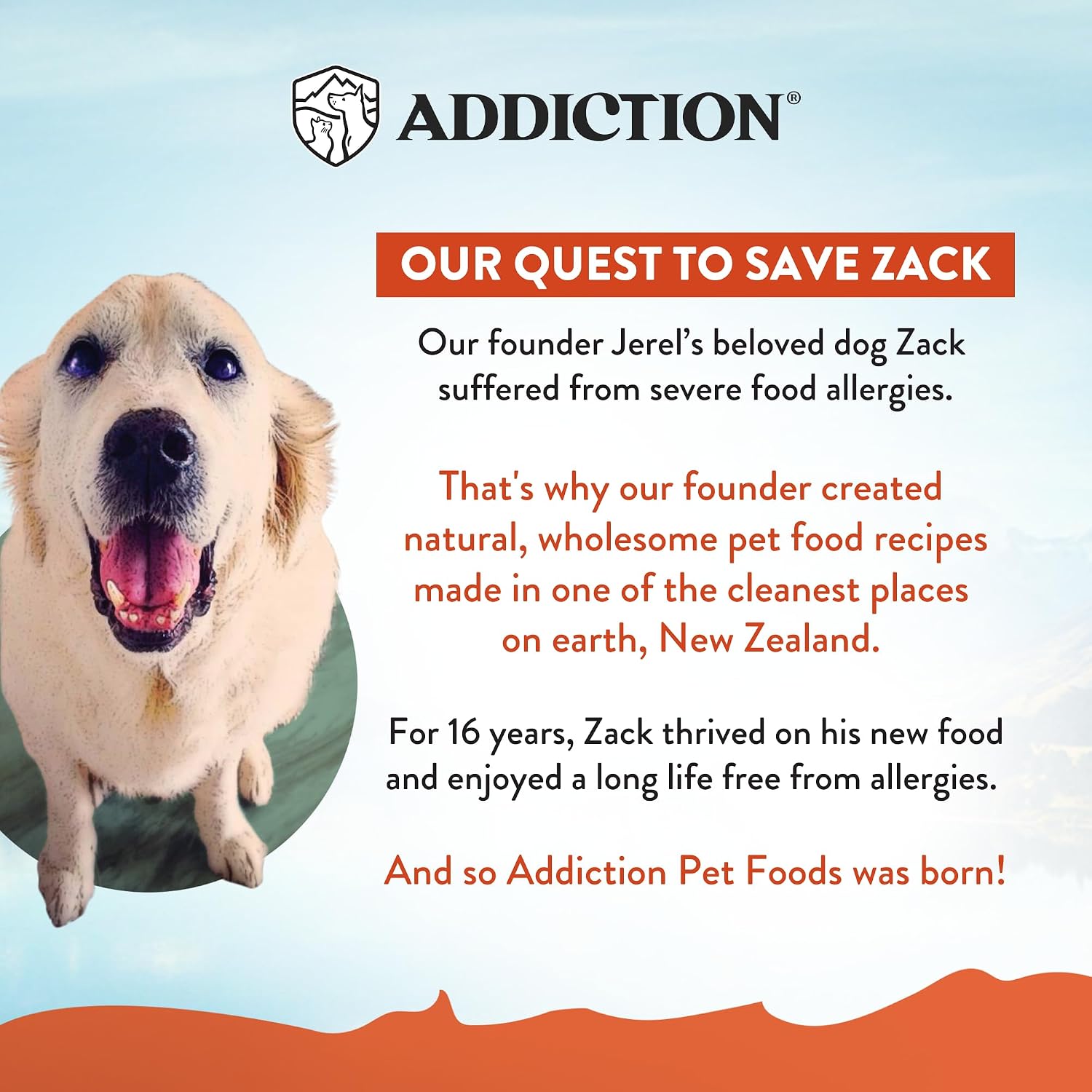 Addiction Venison Recipe Meaty Bites, All Natural Free Range Grain Free High Meat Dog Treats, 4 Oz.