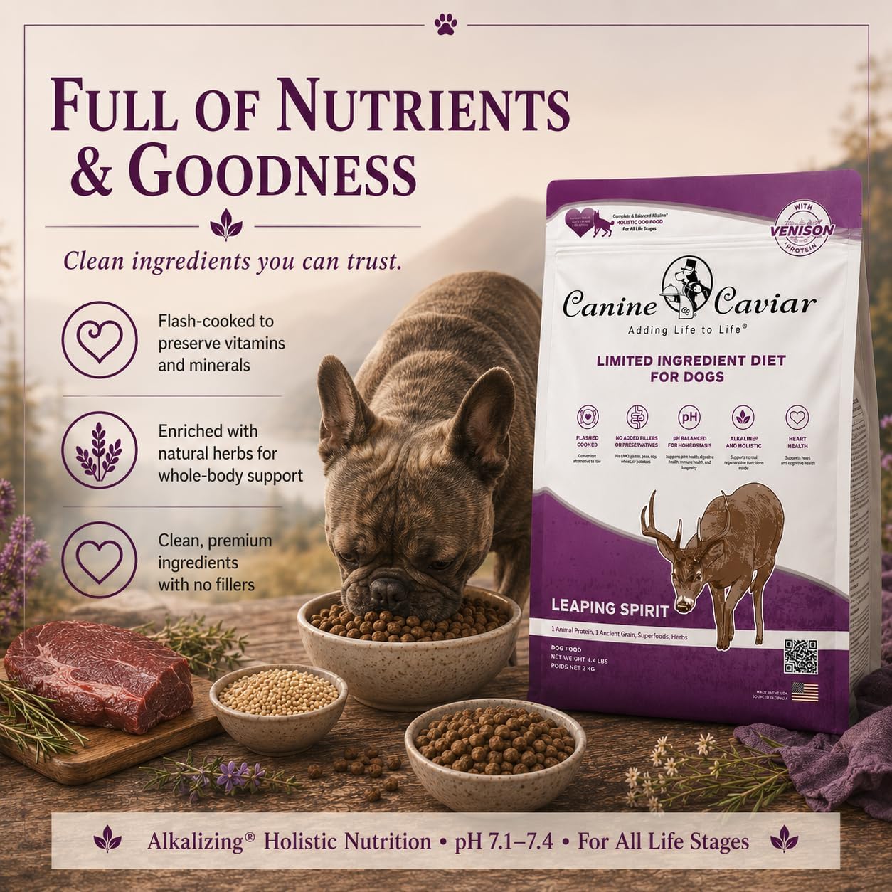 Canine Caviar - Open Range: Water Buffalo & Chickpea Alkaline Dry Dog Food, Limited Ingredients, Gluten-Free, Based on Science & Research, Veterinary Alternative Diet (22 Pound Bag)