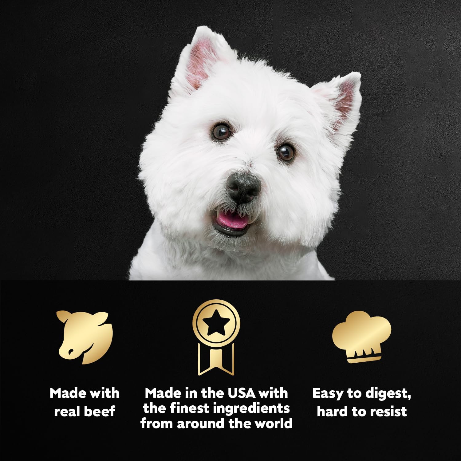 Cesar Filets in Gravy Wet Dog Food, Steak Mix Variety, 3.5 oz, 24 Count | Filet Mignon, New York Strip & Prime Rib, real meat, slow-cooked, no fillers/added sugar/artificial flavors, easy peel trays