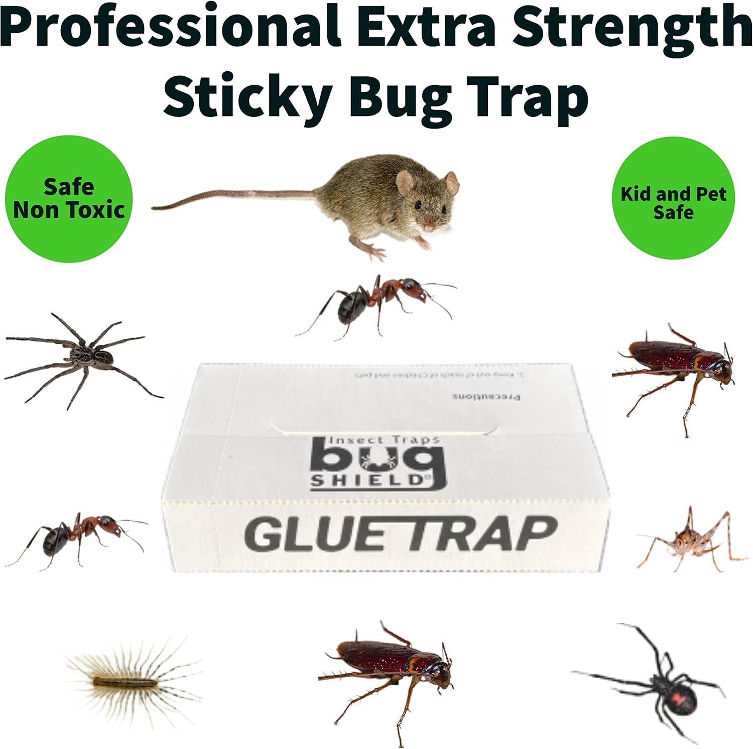 Bug Shield Sticky Glue Traps 72 Glue Boards, All Types of Incets, Spiders, Cockroaches, Ants, Cave Crickets, and More. Professional Strength Glue.