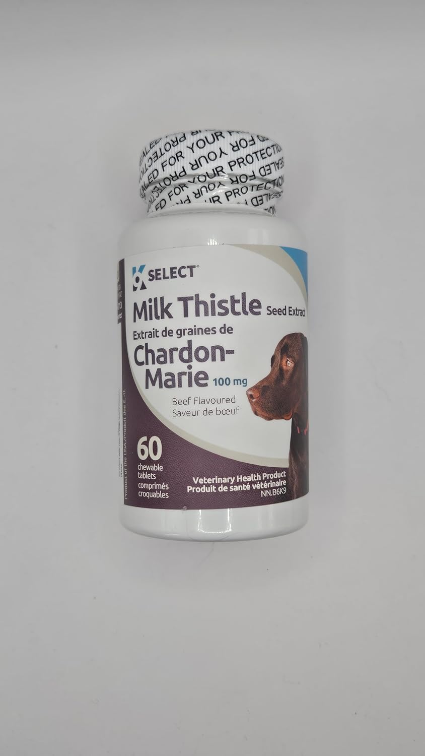Milk Thistle for Dogs, 100mg - 60 Vegetable Capsules - Canine Liver Health Milk Thistle Supplement - Milk Herbal