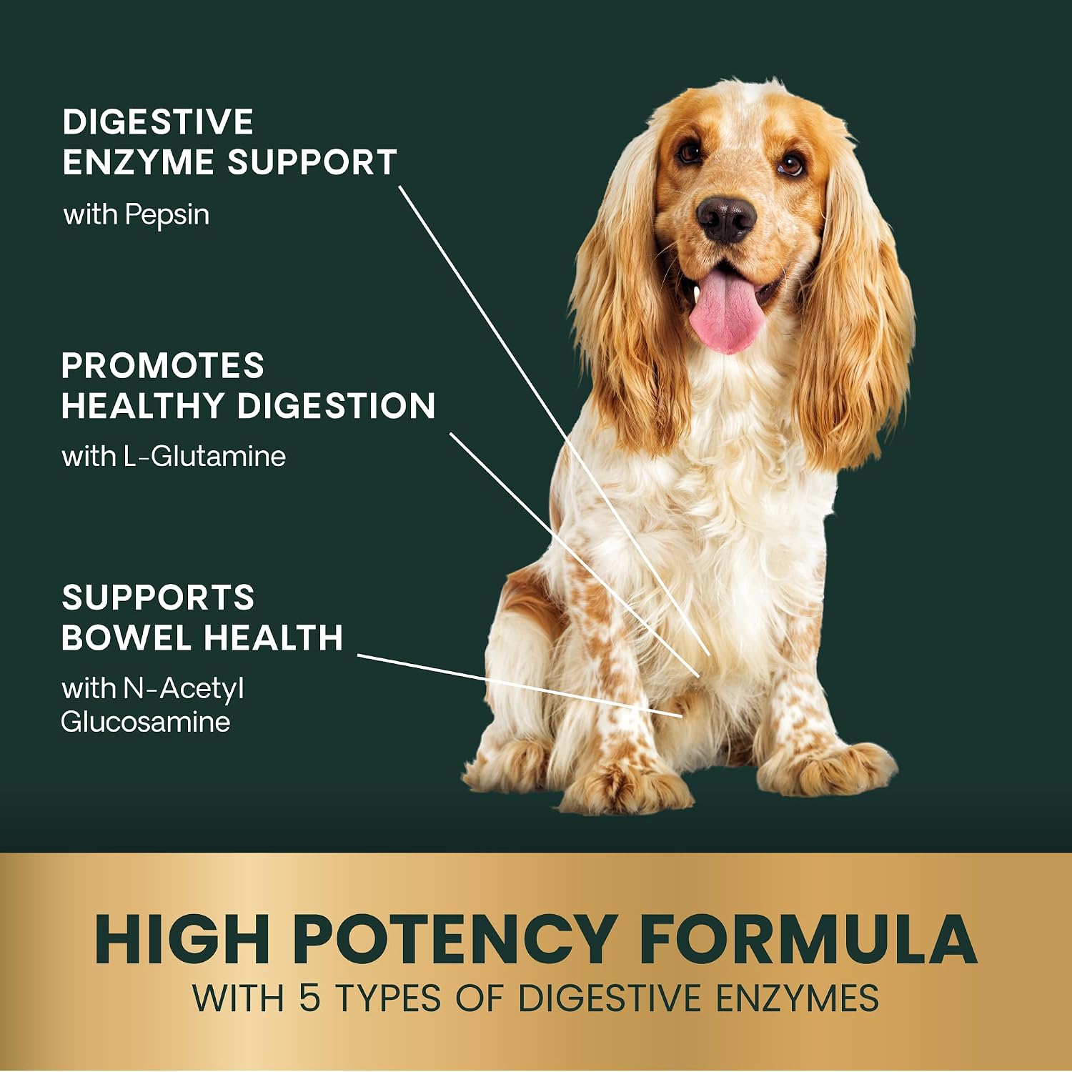 VetriScience Extra Strength Healthy Gut & Digestion Chewable Tablets, Probiotic BD Digestive Enzyme Supplement for Dogs