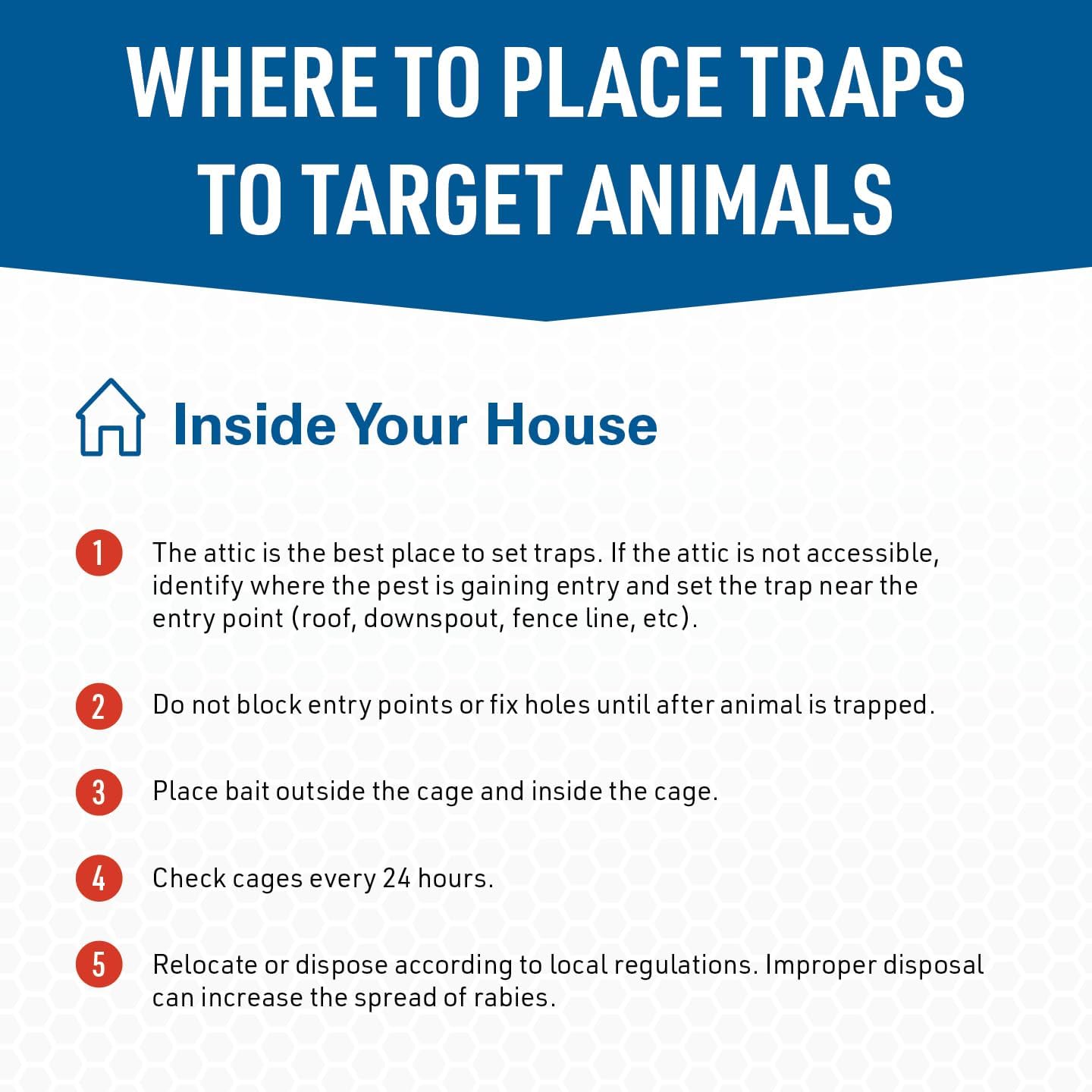 JT Eaton Answer Humane Live Catch Trap for Coyotes & Large Pests | Heavy-Duty Cage Trap; Catches Coyotes, Foxes, and Armadillos; Galvanized Wire; Humane Catch and Release
