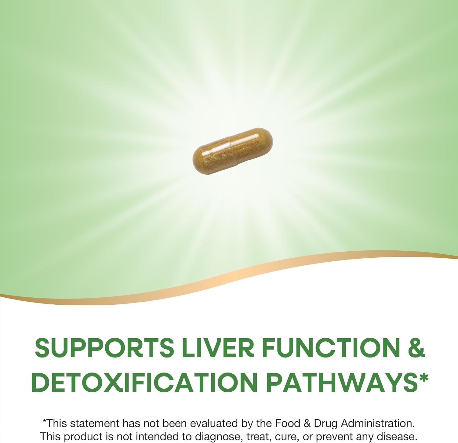 Nature's Way Milk Thistle Capsules, Supports Liver Function*, Vegan, 60 ct | Supports Liver Function & Liver Detox Pathways*, 175 mg Milk Thistle Seed Extract Standardized to 80% Silymarin per Serving