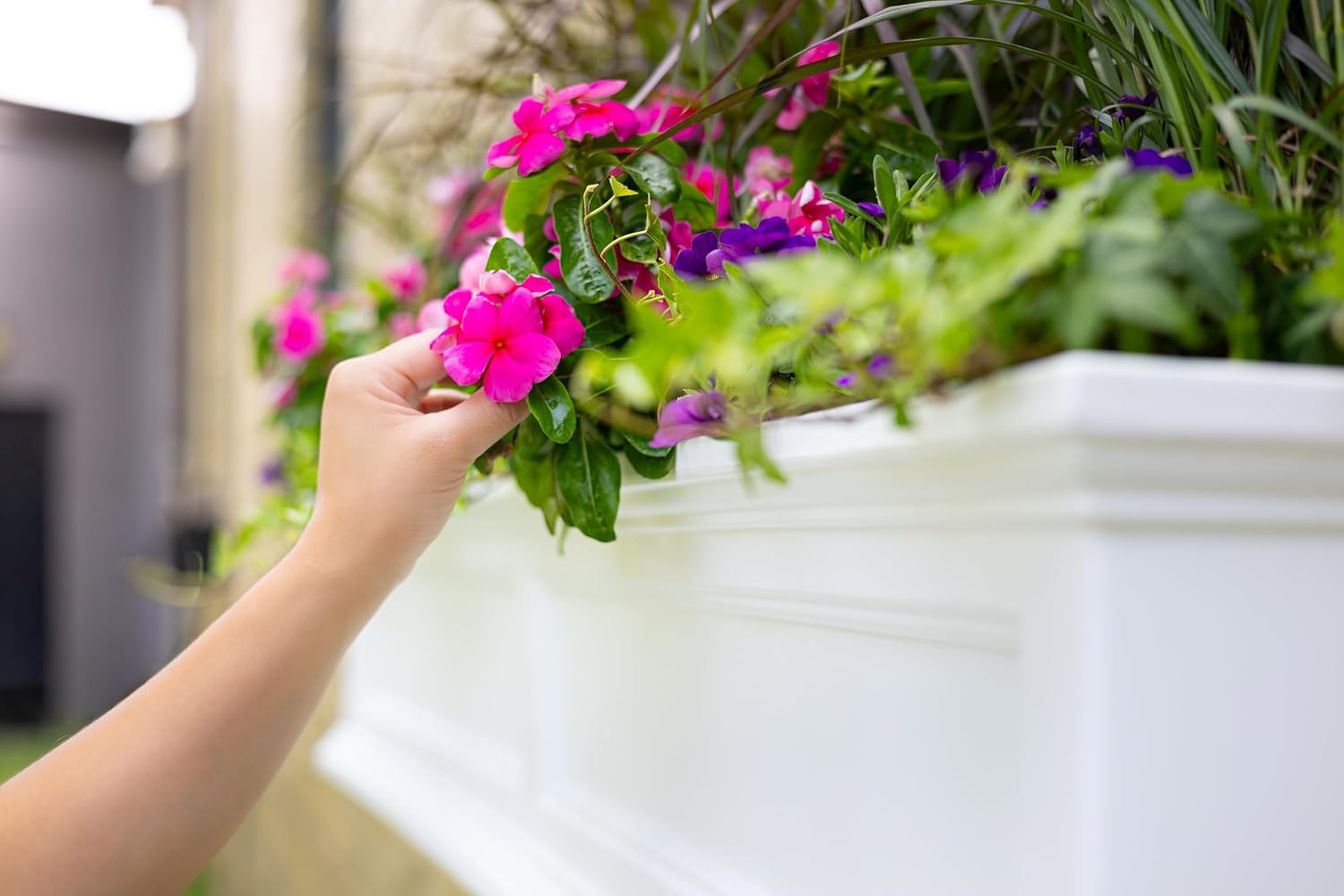 Mayne Fairfield 48in Self-Watering Rectangular Window Box Planter, Black | Self-watering, All season, Fade resistant, Mounting brackets included, Built-in overflow, 15-year warranty