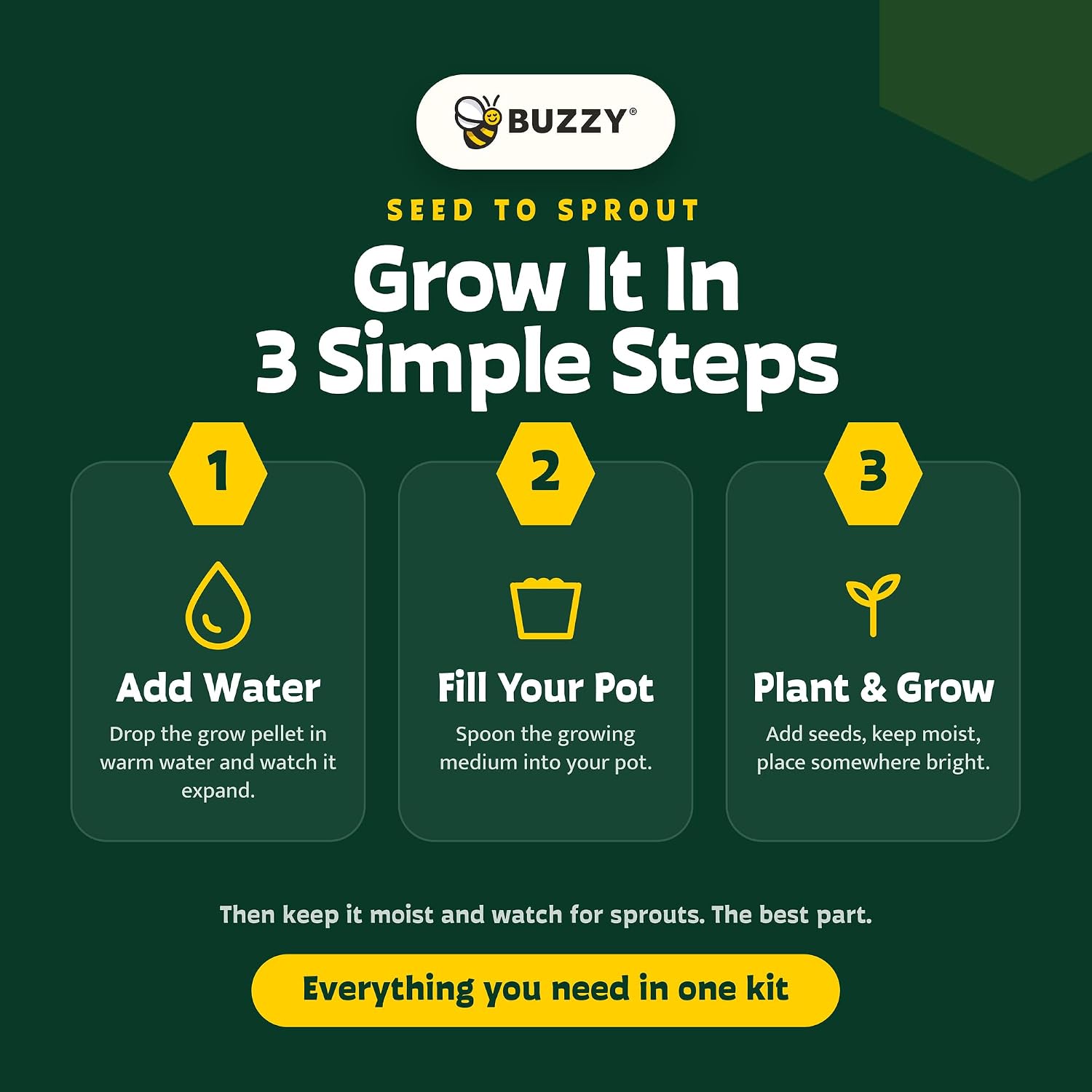Buzzy Seeds Save the Bees Grow Kit 12-Pack - Eco-Friendly Pots - Complete Indoor/Outdoor Gardening Kit with Seeds