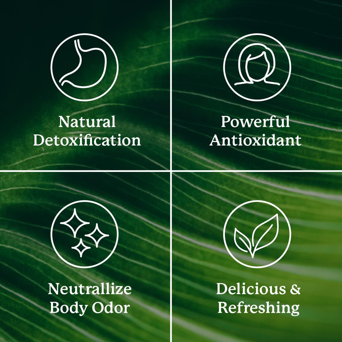 Nature's Sunshine Liquid Chlorophyll Extra Strength - Immunity Support, Detox & Cleanse, Chlorophyll Liquid Drops with Spearmint Oil, Natural Energy Boost, Internal Deodorant - 16 Fl Oz