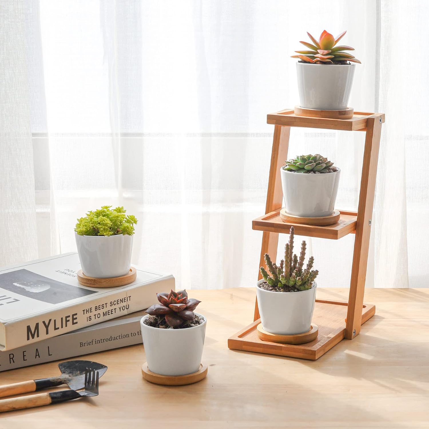 T4U Small White Succulent Planter Pots with Bamboo Tray Hexagon Set of 2, Geometric Ceramic Cactus Plant Holder, Succulent Plant Gifts for Gardener Women Coworker, Home Office Table Desk Decoration | Live cactus bonsai starter, Indoor windowsill decor, O…
